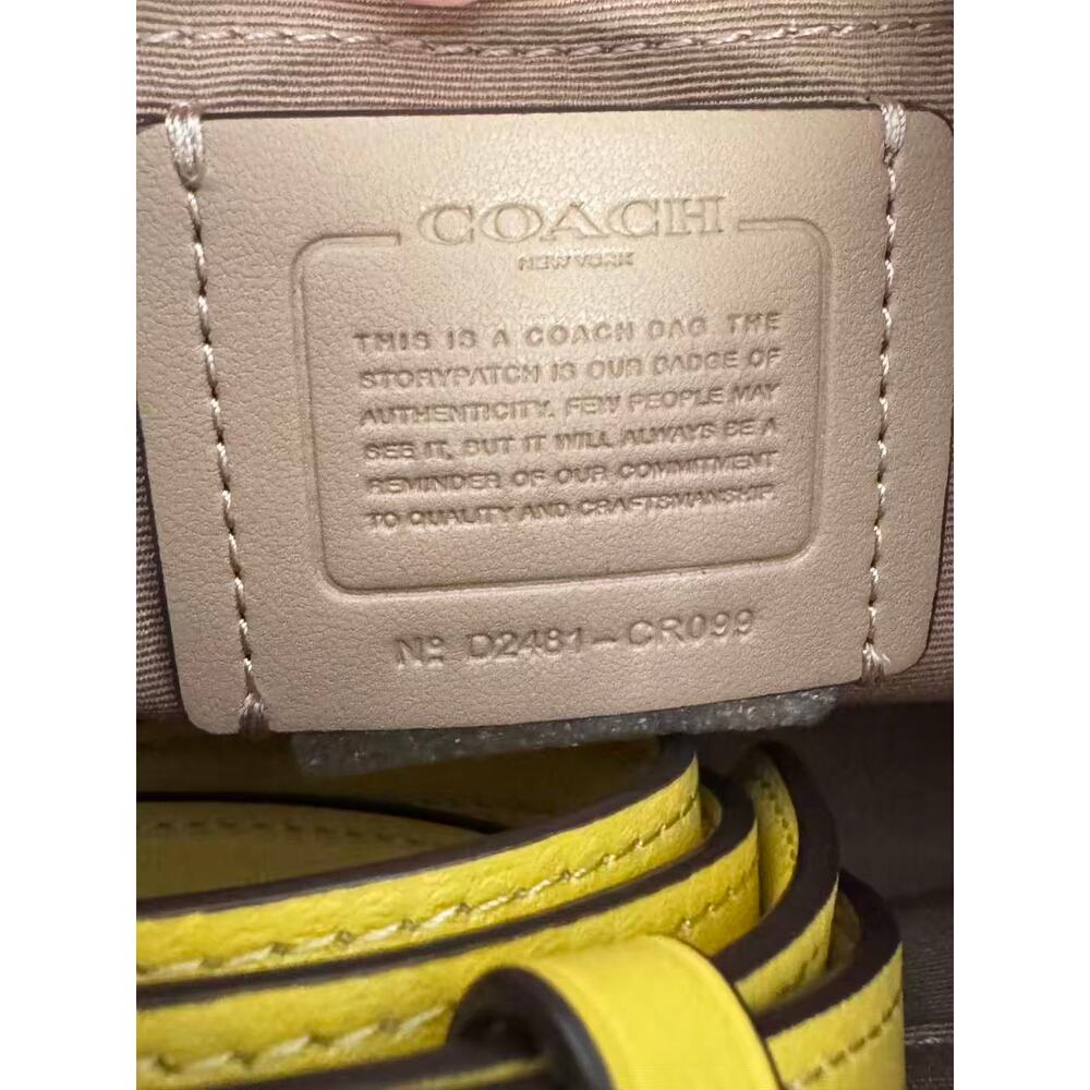 Coach CR099 Teri Shoulder Bag IN Daisy - Picture 6 of 9